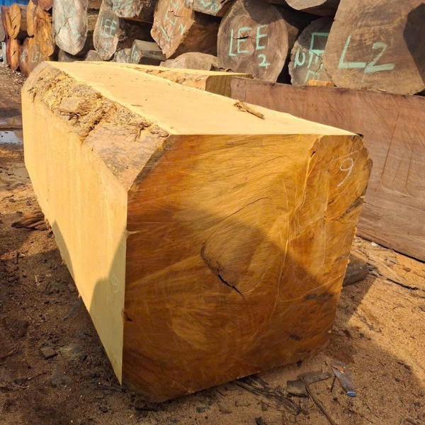 Gỗ Mít Bilinga Nguyên Khối Nhập Khẩu
