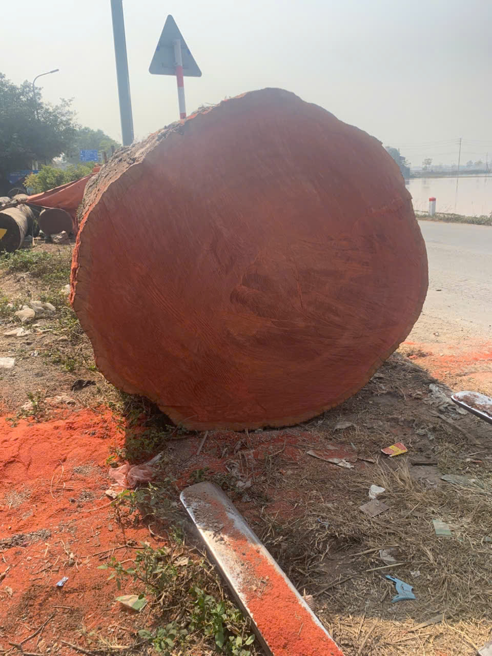 Gỗ Sến Đỏ Nguyên Khối Nhập Khẩu