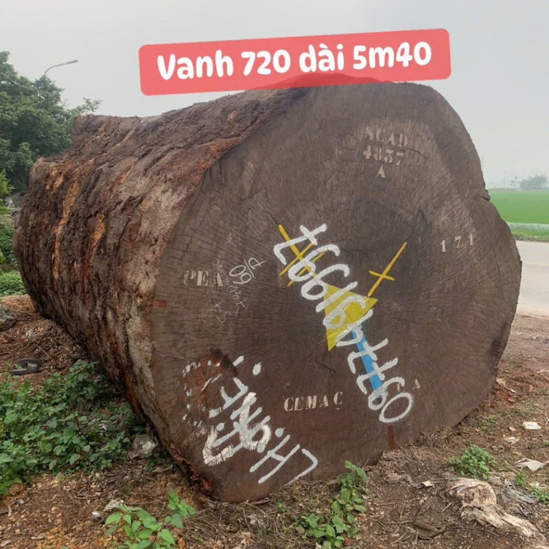 Gỗ Cẩm Hồng Nguyên Khối Nhập Khẩu